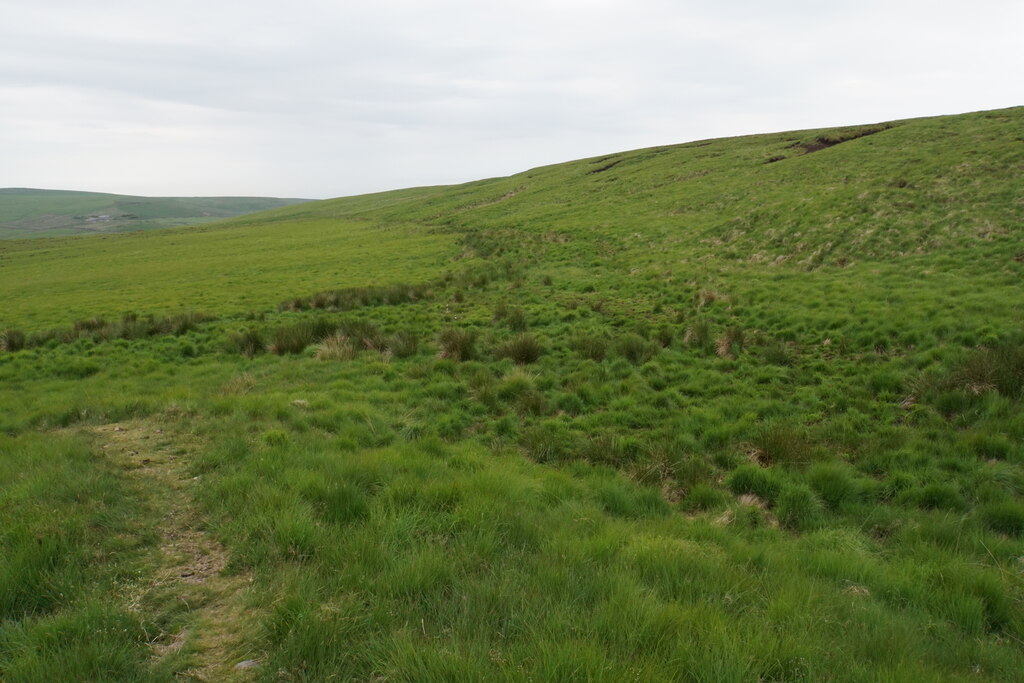 boggy-area-on-slater-lane-bill-boaden-geograph-britain-and-ireland