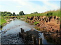 Erydiad ar Afon Br?n / Erosion on Afon Br