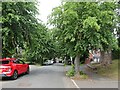 Leafy suburbs, Oldnall Road, Kidderminster