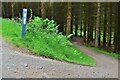 NT2840 : Bike trail and marker, Glentress Forest by Jim Barton