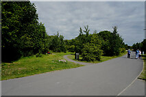 NS6262 : Cuningar Loop Woodland Park by Malcolm Neal