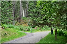 NT2841 : Bike trail junction, Glentress Forest by Jim Barton