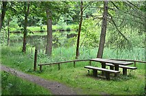 NT2840 : Picnic table and pond, Glentress Forest by Jim Barton
