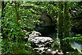 Buckland Monachorum: Denham Bridge