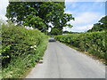 Hedge-lined Holden Lane approaching Greaves