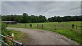 Horse paddock and stables