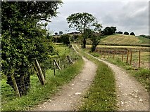 H5371 : Bend along a country lane, Bancran by Kenneth  Allen