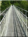 NS4886 : The Endrick Viaduct by Richard Sutcliffe