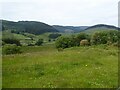 Wye valley west of Llangurig