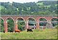 NT5734 : Three Tweed bridges seen from Trimontium by Jim Barton