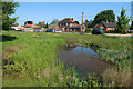 TG1834 : Pond on Aldborough village green by Hugh Venables