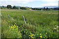 Boggy Land near Darglins