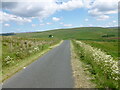 Minor road near Linburn