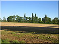 Field near Essendy