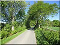 Road near Meadows Bungalow