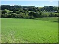 Field south of Forneth