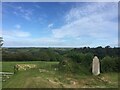 SW9642 : View West from St Michael Caerhayes Church by thejackrustles