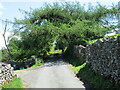 The entrance to Mudd House