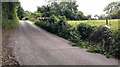 Rural road approaching Galebars at track junction