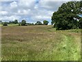 Field near Pentre Farm