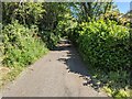 The lane heading south from Higher Tremeneer