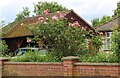 House and rose bush in Barton Mills