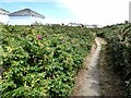 Wales Coast Path at the western end of Pwllheli