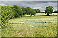 Gate and field beside Redmans Lane