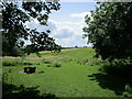 TL1791 : Grass field by the church, Yaxley by Jonathan Thacker