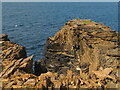 Unusual folding on sea cliff rocks