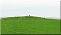 HY3016 : An unexciting grassy mound by Gordon Hatton