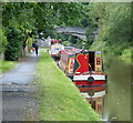 Moored narrowboats along the Shropshire Union Canal