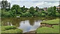 River Severn below Coton Hill