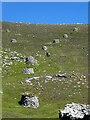 NF1099 : St Kilda - Hirta - Rows of cleitean climb the hill by Rob Farrow