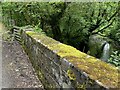 Moss-covered bridge over stream