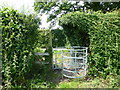 Kissing gate on the footpath