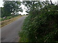 Road from Achnacroish, Lismore