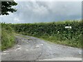 Track to Gwarallt Farm