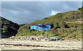 NZ8115 : Beach Chalet, Runswick Bay by habiloid