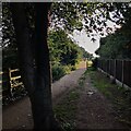 Path to Toton Fields