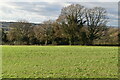 Footpath to Iden Green