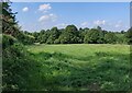 Footpath to Wolvey Heath