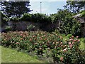 Southsea Rose Garden