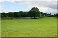 Field below Bole Hill