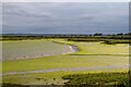 TL8907 : Channel in the mudflats, Goldhanger Creek by Roger Jones
