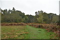 Footpath, Marstakes Common