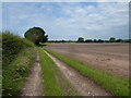 Bridleway and footpath at the field edge