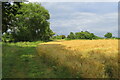 Footpath by the stream