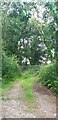 Gated Woodland Pathway Above Afon Gido