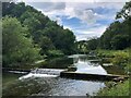 SK2165 : River Lathkill by Philip Cornwall